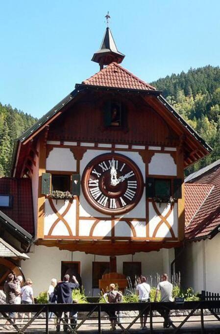 Two-Bedroom Apartment near Triberg Waterfall Triberg im Schwarzwald Exterior foto